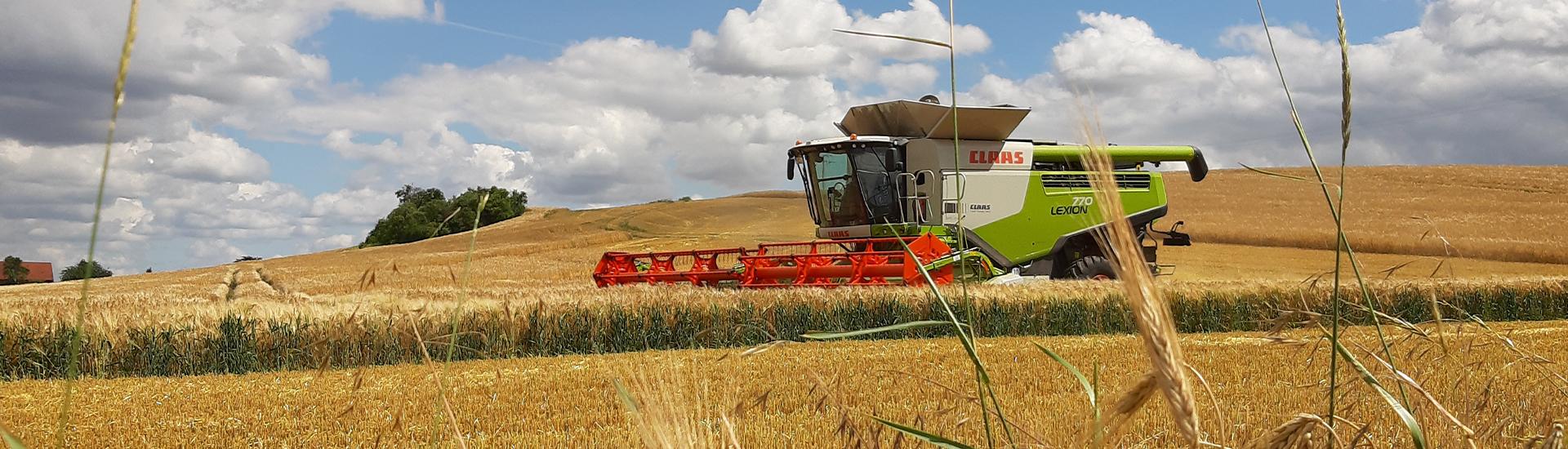 Mähdrescher bei der Getreideernte auf einem Feld im Wippertal